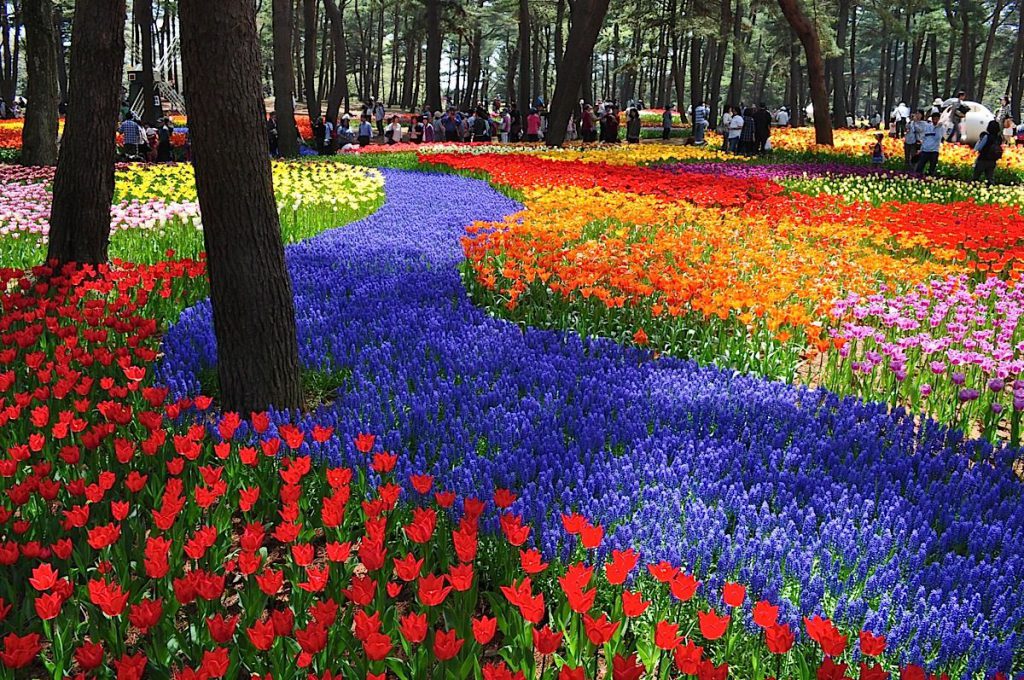 parco-hitachi-giappone