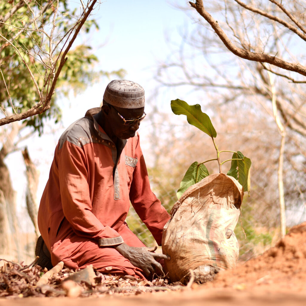 Yacouba Sawadogo