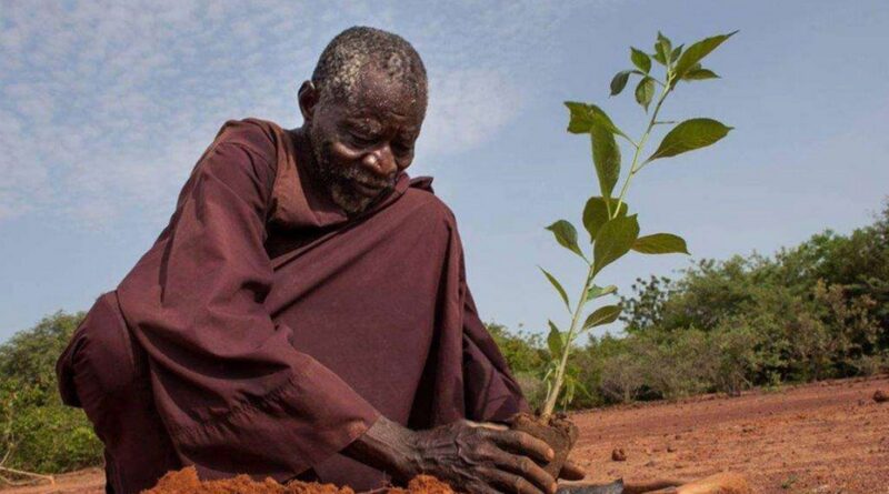 Yacouba Sawadogo, l’uomo che ha fermato il deserto piantando alberi