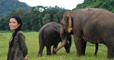 Alla Scoperta dell’Angelo degli Elefanti: Sangduen “Lek” Chailert
