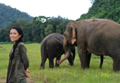 Alla Scoperta dell’Angelo degli Elefanti: Sangduen “Lek” Chailert